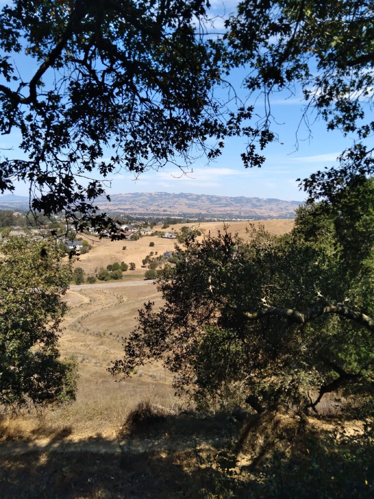 Petahike4